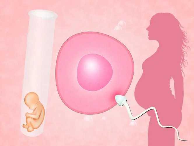 武汉借卵助孕机构 武汉靠谱的私立供卵机构介绍 ‘b超性别女翻男’